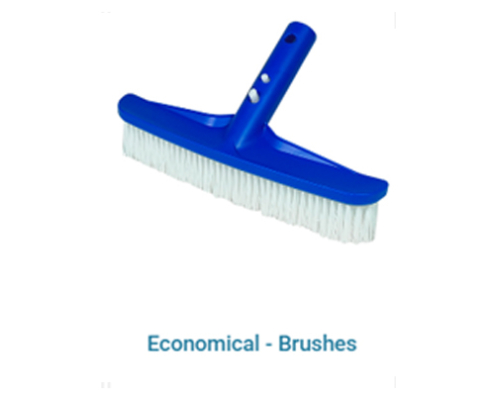 Economical Brushes
