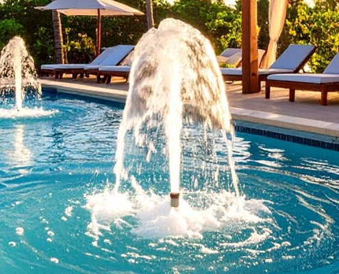 Fish Fountain